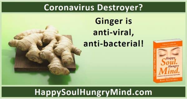 Ginger Antiviral antibacterial
