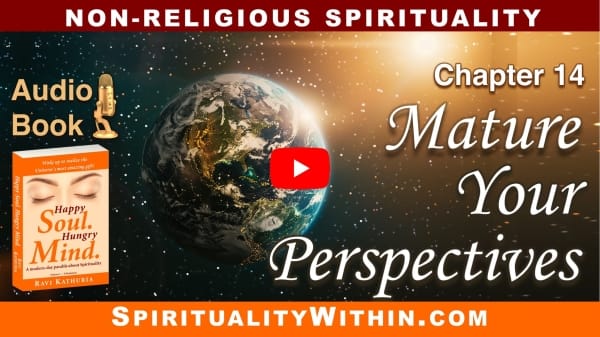 Chapter 14: Mature Your Perspectives — Audio Book, “Happy Soul. Hungry Mind.”